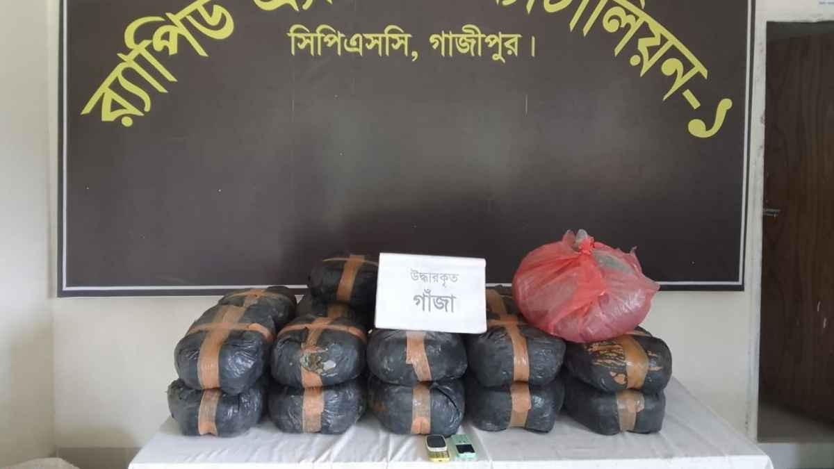 গাজীপুরে ৪৬ কেজি গাঁজাসহ দুই মাদক কারবারি আটক