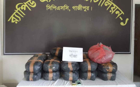 গাজীপুরে ৪৬ কেজি গাঁজাসহ দুই মাদক কারবারি আটক