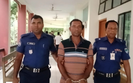 মেহেরপুরে মাদক ব্যবসায়ীর ১০ বছরের সশ্রম কারাদণ্ড